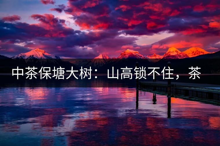 中茶保塘大樹：山高鎖不住，茶好名自傳