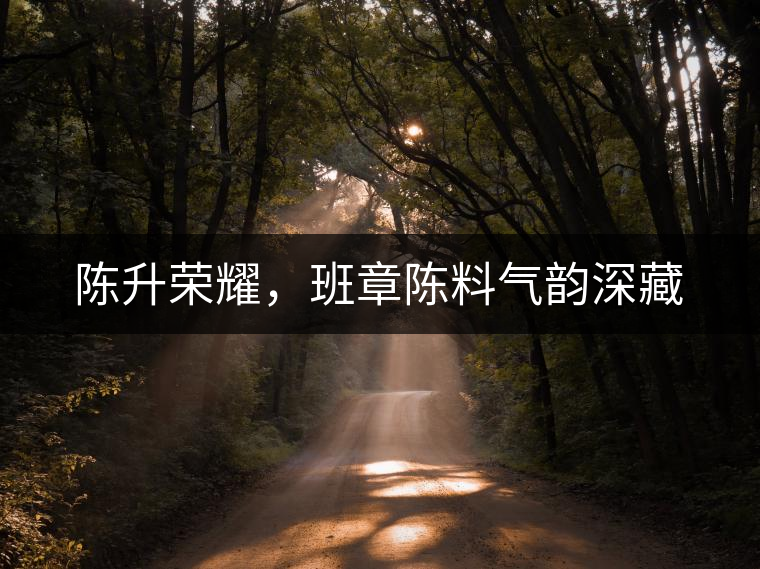 陳升榮耀，班章陳料氣韻深藏