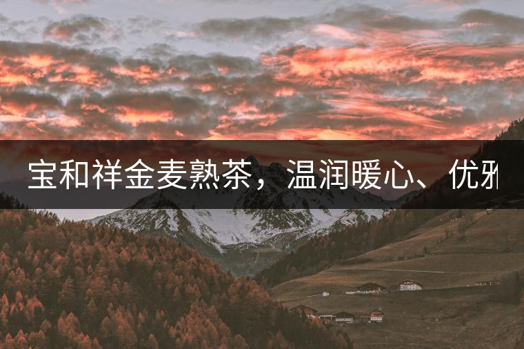 寶和祥金麥熟茶，溫潤暖心、優(yōu)雅迷人。
