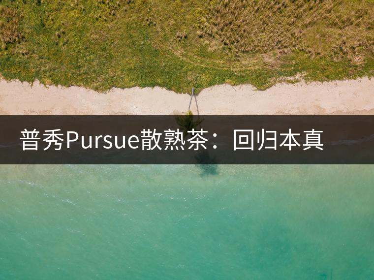 普秀Pursue散熟茶：回歸本真，一款高性價(jià)比口糧散熟茶