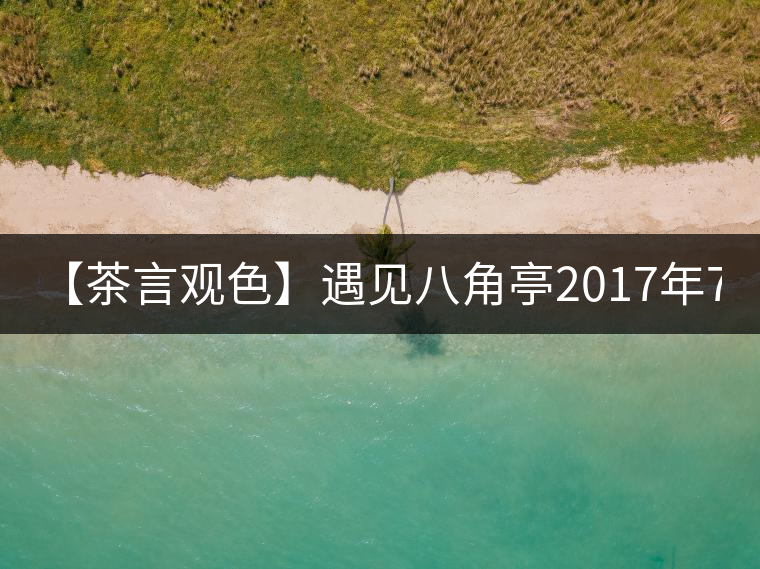 【茶言觀色】遇見八角亭2017年7540