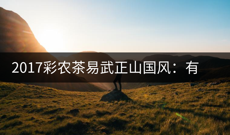 2017彩農(nóng)茶易武正山國風(fēng)：有茶韻，亦有國風(fēng)