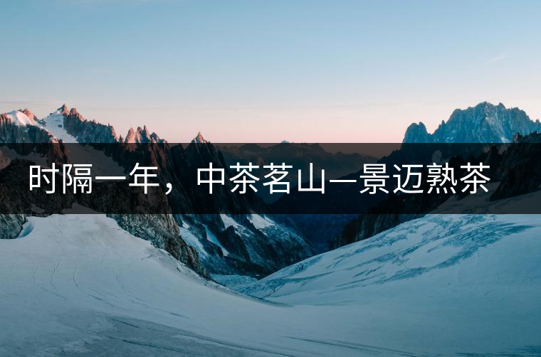 時(shí)隔一年，中茶茗山—景邁熟茶有哪些變化