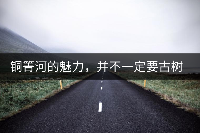 銅箐河的魅力，并不一定要古樹來體現