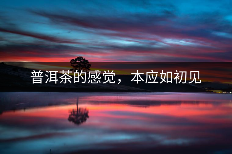 普洱茶的感覺(jué)，本應(yīng)如初見(jiàn)