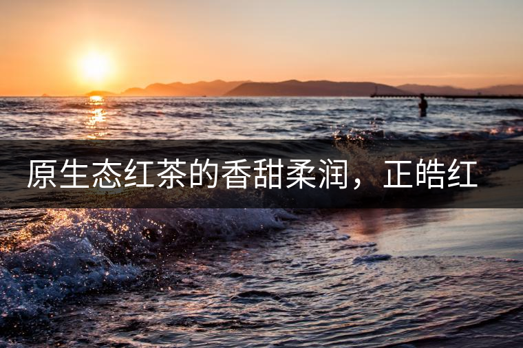原生態(tài)紅茶的香甜柔潤，正皓紅的魅力無可抵擋！