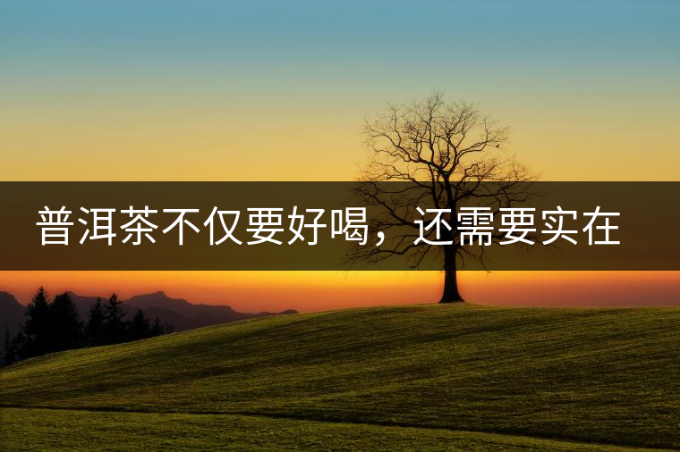 普洱茶不僅要好喝，還需要實(shí)在和大氣