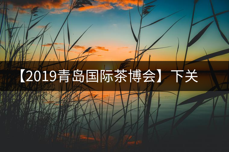 【2019青島國際茶博會】下關(guān)沱茶攜新品C位亮相！
