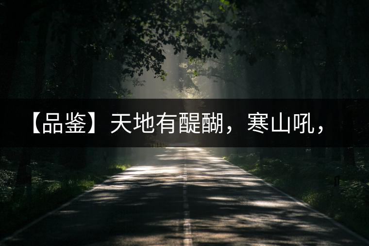 【品鑒】天地有醍醐，寒山吼，苦樂皆隨風(fēng)