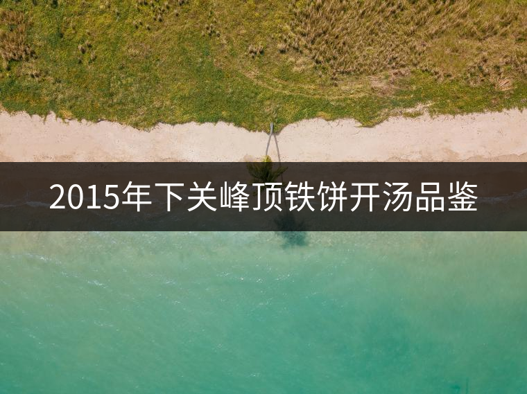 2015年下關(guān)峰頂鐵餅開(kāi)湯品鑒