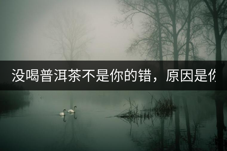 沒喝普洱茶不是你的錯，原因是你還沒遇到Y(jié)671與Y562