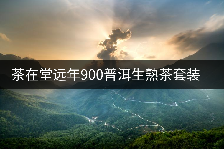 茶在堂遠(yuǎn)年900普洱生熟茶套裝賞析