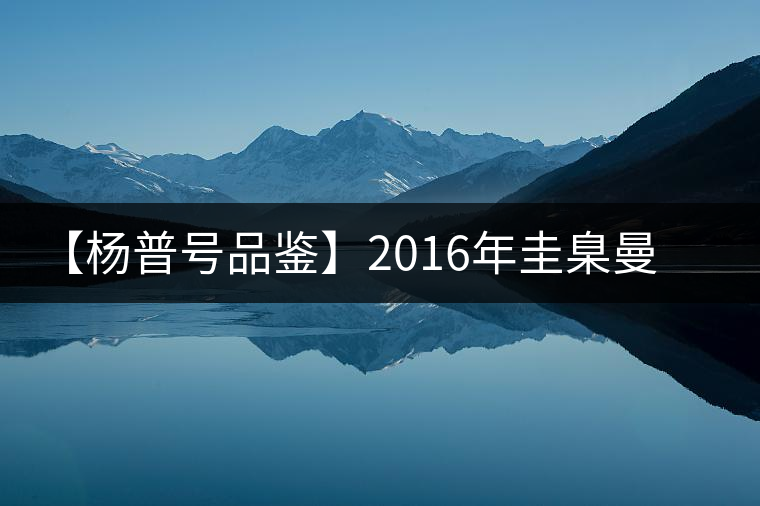 【楊普號(hào)品鑒】2016年圭臬曼糯