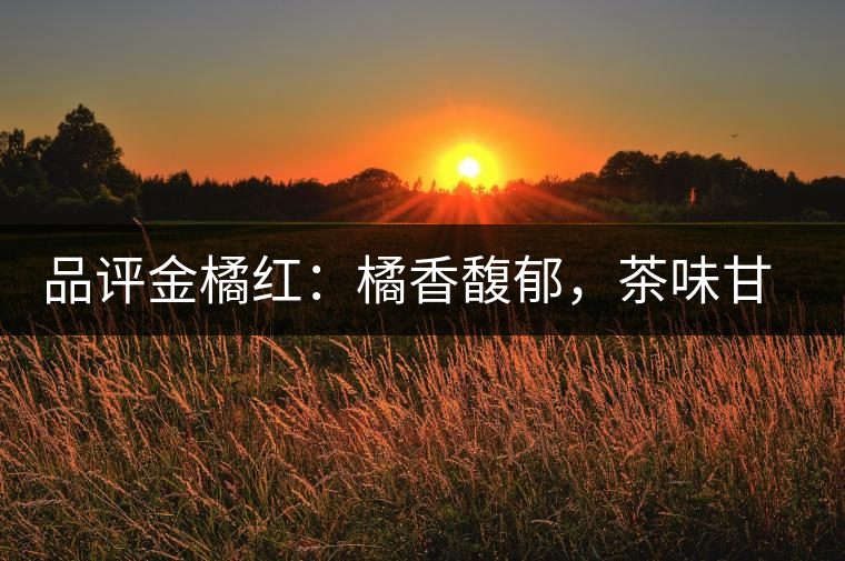 品評金橘紅：橘香馥郁，茶味甘醇，匠心拼配，臻于至善
