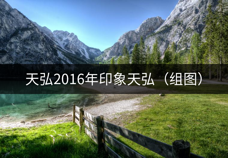 天弘2016年印象天弘（組圖）