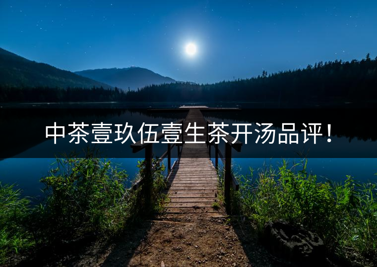 中茶壹玖伍壹生茶開(kāi)湯品評(píng)! 中茶壹玖伍壹生茶開(kāi)湯品評(píng)!