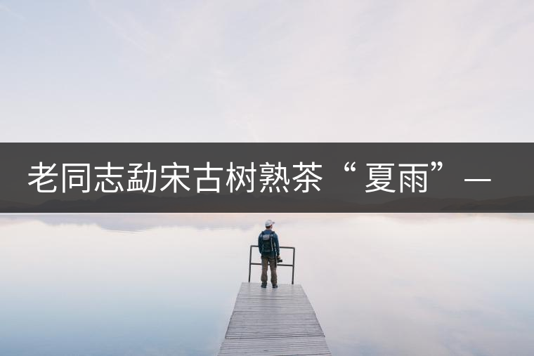 老同志勐宋古樹(shù)熟茶“ 夏雨”— 飲茶伴夏，只為您！