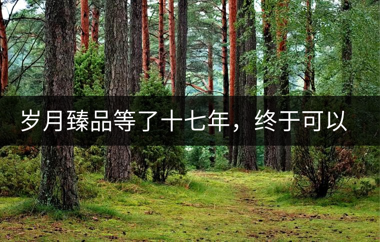 歲月臻品等了十七年，終于可以品味歲月