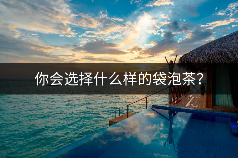 你會(huì)選擇什么樣的袋泡茶？