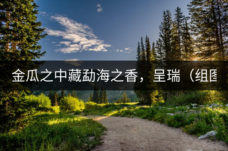 金瓜之中藏勐海之香，呈瑞（組圖）