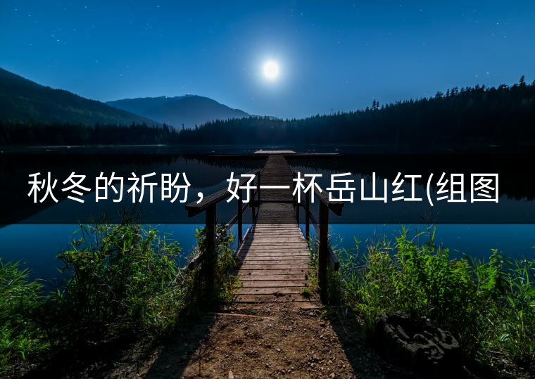 秋冬的祈盼，好一杯岳山紅(組圖)