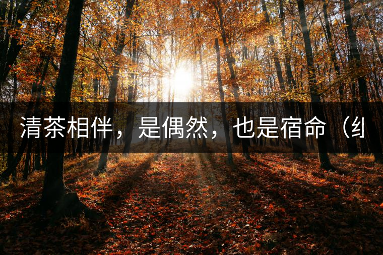 清茶相伴，是偶然，也是宿命（組圖）