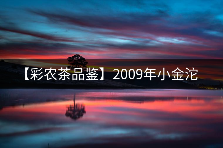 【彩農(nóng)茶品鑒】2009年小金沱 【彩農(nóng)茶品鑒】2009年小金沱