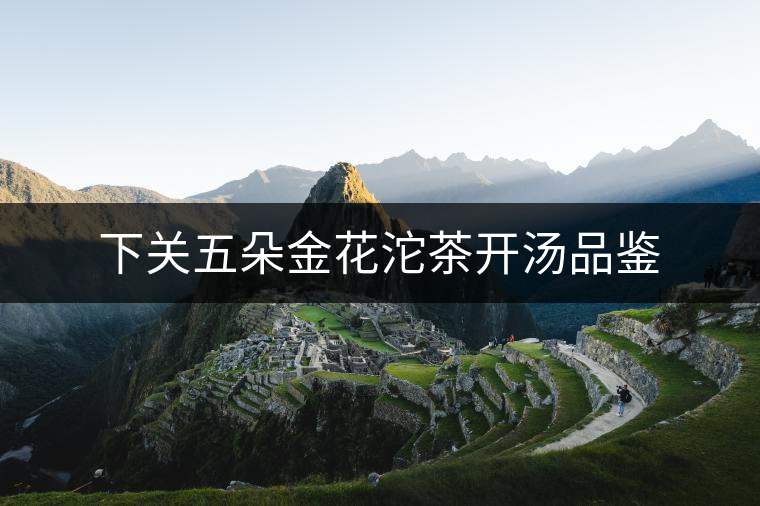 下關五朵金花沱茶開湯品鑒 下關五朵金花沱茶開湯品鑒
