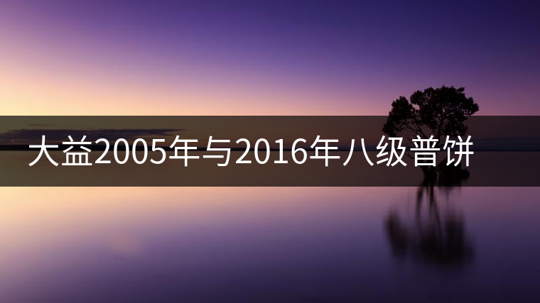 大益2005年與2016年八級(jí)普餅權(quán)威品鑒