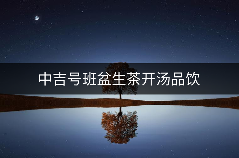 中吉號(hào)班盆生茶開湯品飲