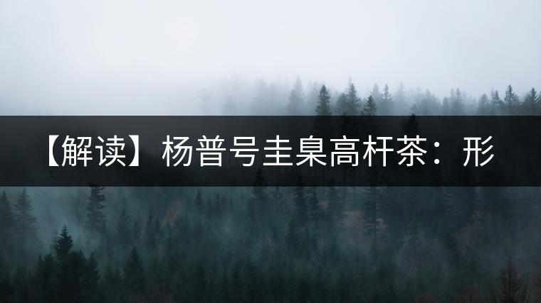 【解讀】楊普號(hào)圭臬高桿茶：形高、氣足、韻遠(yuǎn)的一款茶