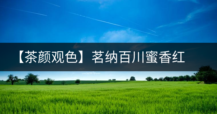 【茶顏觀色】茗納百川蜜香紅金螺