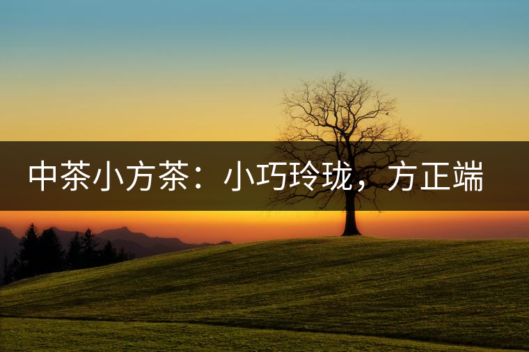 中茶小方茶：小巧玲瓏，方正端莊