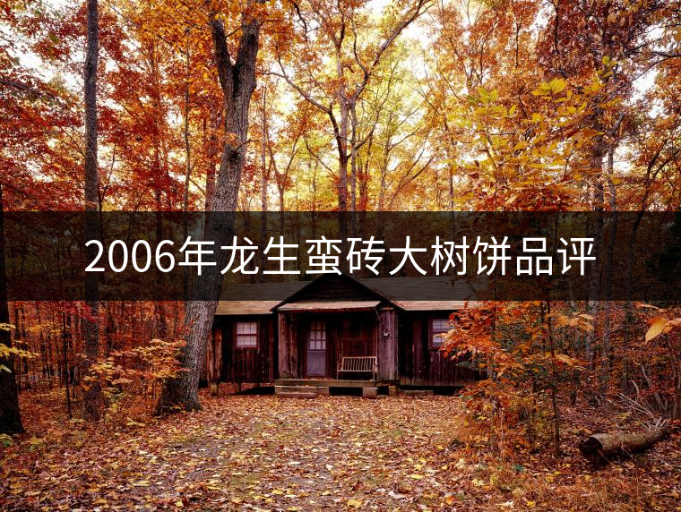 2006年龍生蠻磚大樹(shù)餅品評(píng)