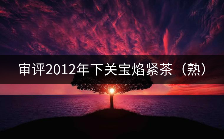 審評2012年下關(guān)寶焰緊茶（熟）