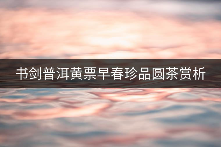 書劍普洱黃票早春珍品圓茶賞析