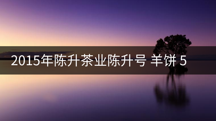 2015年陳升茶業(yè)陳升號 羊餅 500克生餅普洱茶生茶品鑒
