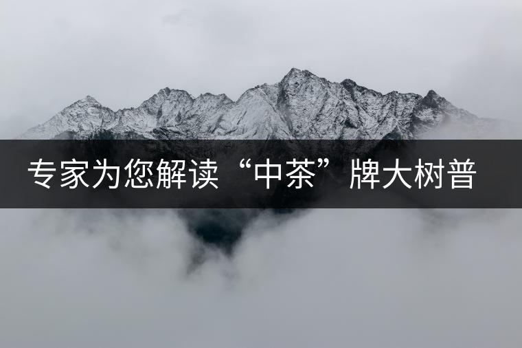 專家為您解讀“中茶”牌大樹普洱—落霞品評