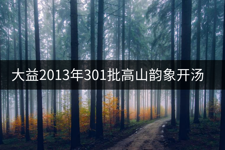 大益2013年301批高山韻象開(kāi)湯品鑒