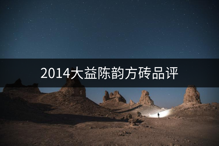 2014大益陳韻方磚品評(píng)