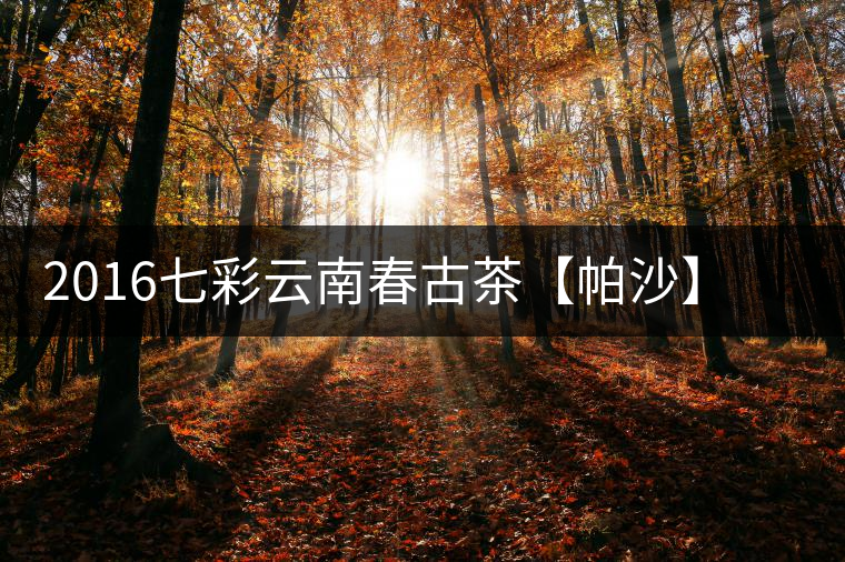 2016七彩云南春古茶【帕沙】開(kāi)湯——好茶需慢品