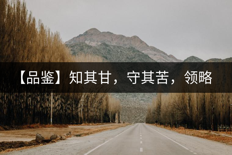 【品鑒】知其甘，守其苦，領(lǐng)略勐宋的早春