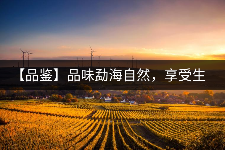 【品鑒】品味勐海自然，享受生活醇香
