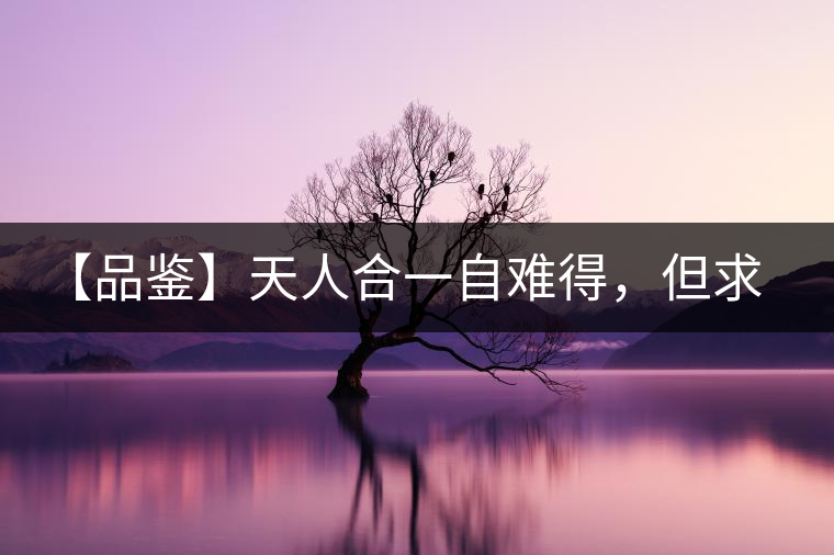 【品鑒】天人合一自難得，但求得茶之本味