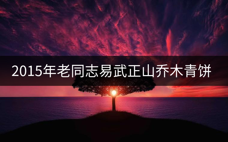 2015年老同志易武正山喬木青餅審評(píng)
