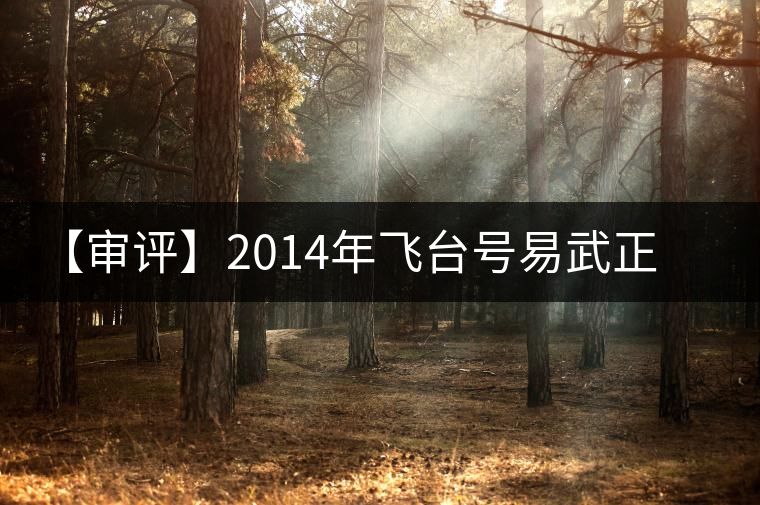 【審評】2014年飛臺號易武正山