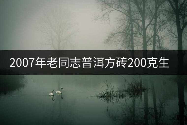 2007年老同志普洱方磚200克生茶開湯 2007年老同志普洱方磚200克生茶開湯