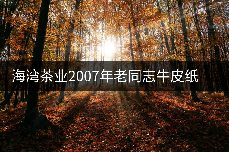 海灣茶業(yè)2007年老同志牛皮紙茶磚開(kāi)湯品鑒 海灣茶業(yè)2007年老同志牛皮紙茶磚開(kāi)湯品鑒