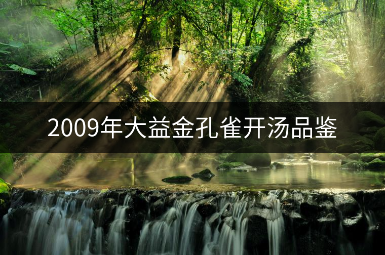 2009年大益金孔雀開湯品鑒 2009年大益金孔雀開湯品鑒