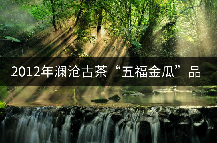 2012年瀾滄古茶“五福金瓜”品鑒 2012年瀾滄古茶“五福金瓜”品鑒
